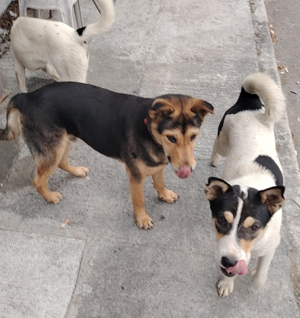 分享一件幸福感小事见到小朋友们很开心[微笑]