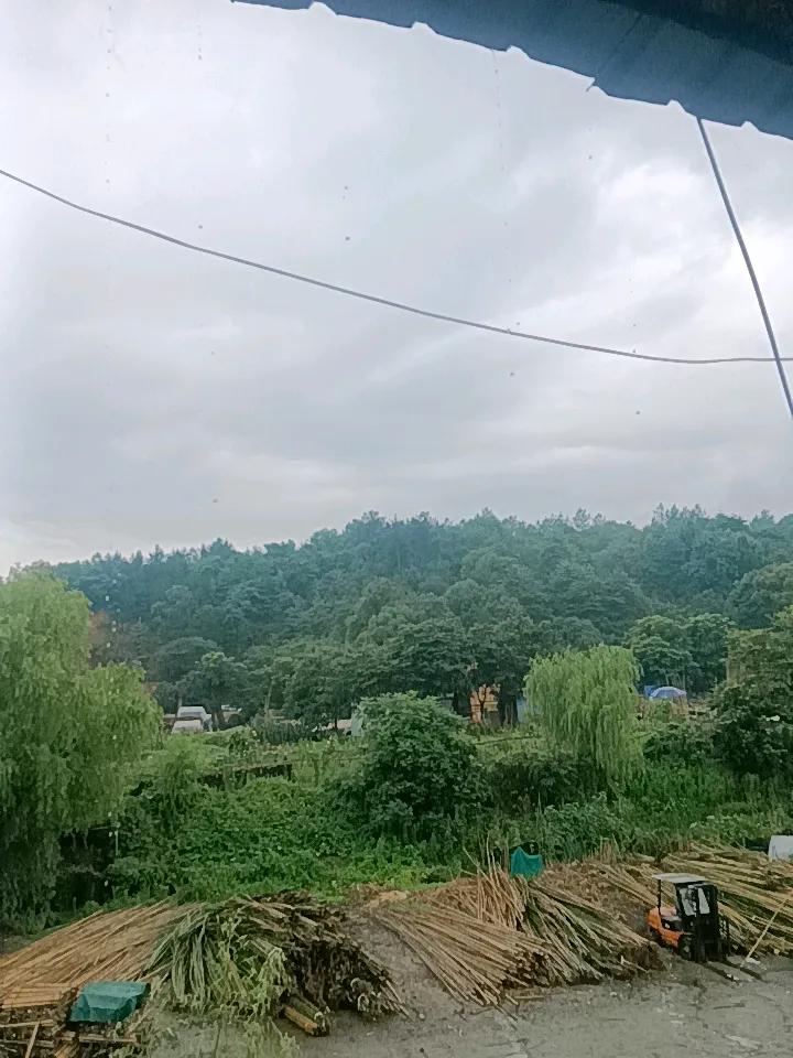 谁懂这种落差！
雨停→换好衣服准备出门逛街买东西→瞬间暴雨突袭
老天爷怕我乱花钱