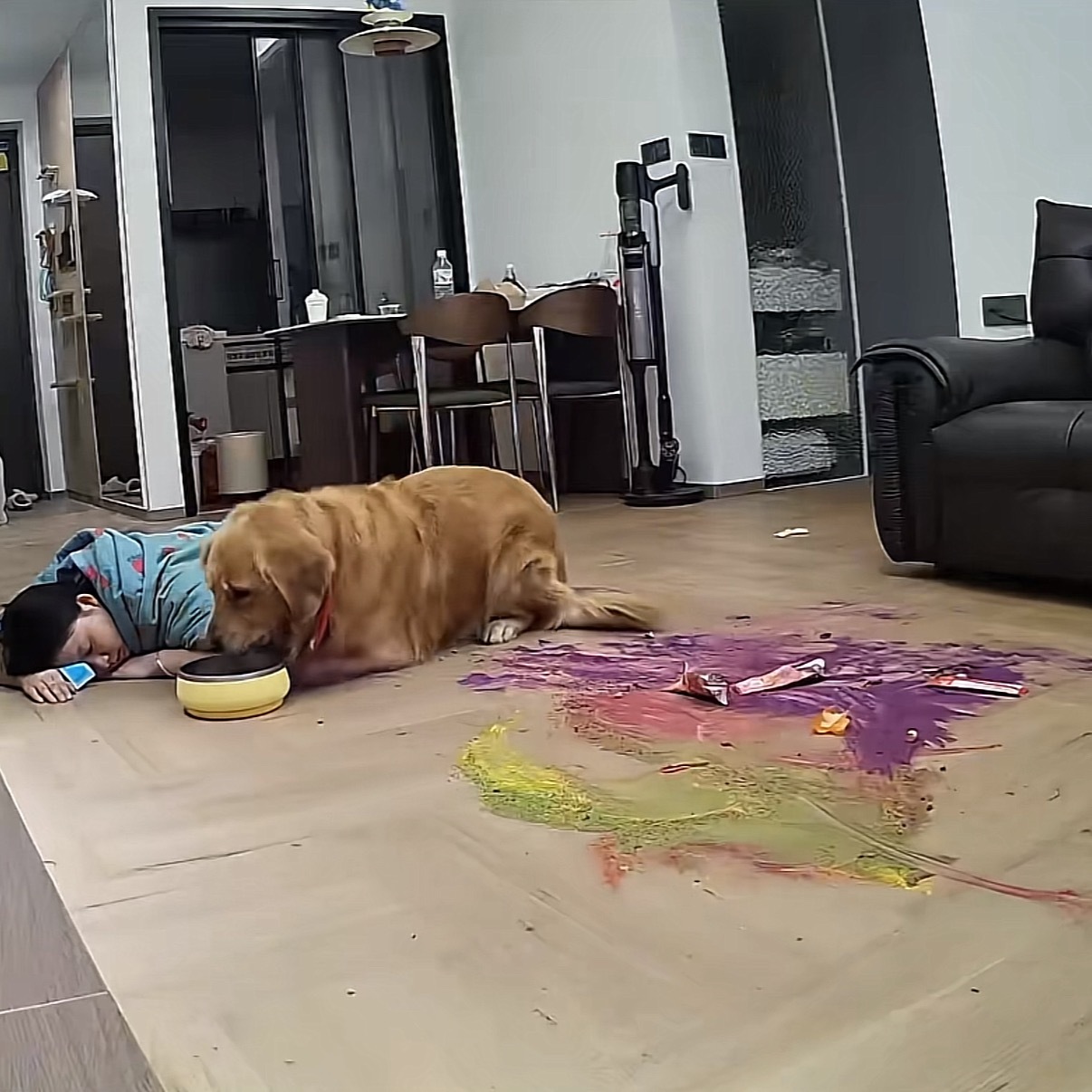 女生甲流高烧狗狗饿得啃面粉看了原视频，摆拍的。后面用吸尘器打扫卫生，然后评论区带