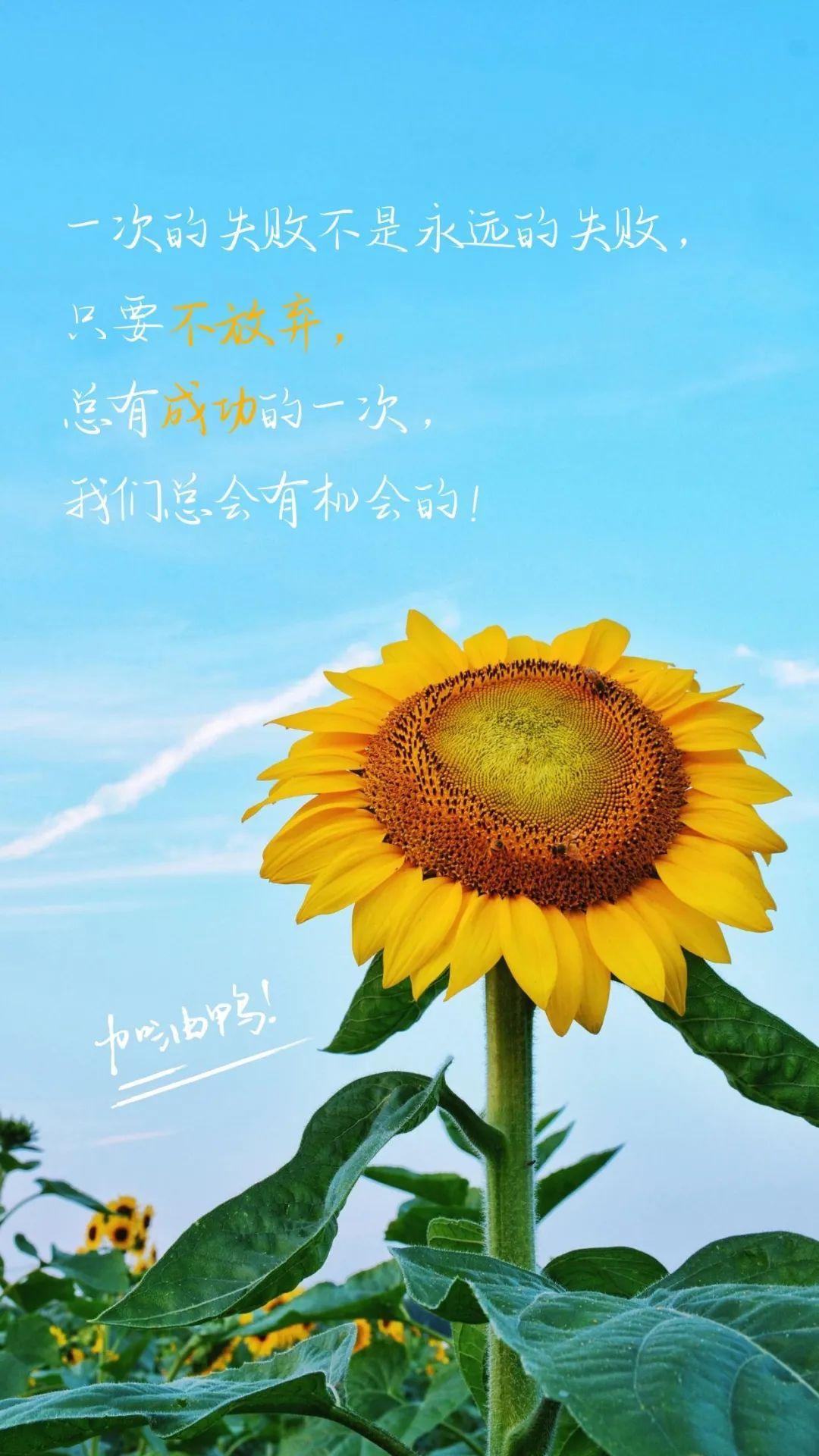 你有哪些改变自己正能量的句子?


“每天都是新的开始，充满无限可能。”
“相信