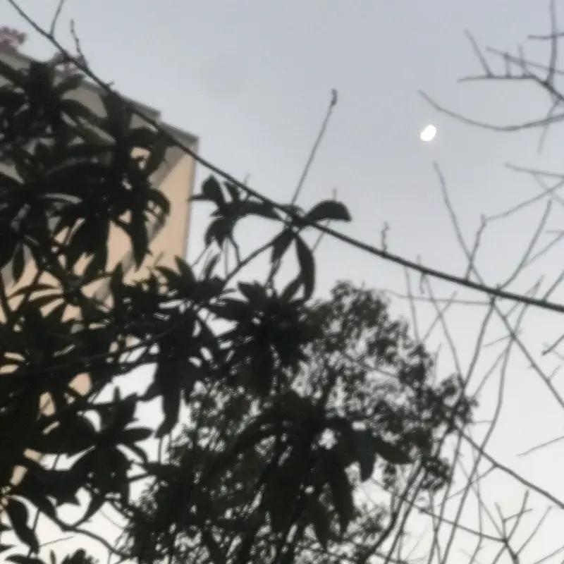 看到“喜怒哀乐人间过”这个上联，我脑海里瞬间就开始琢磨下联。这上联描绘了人生各种