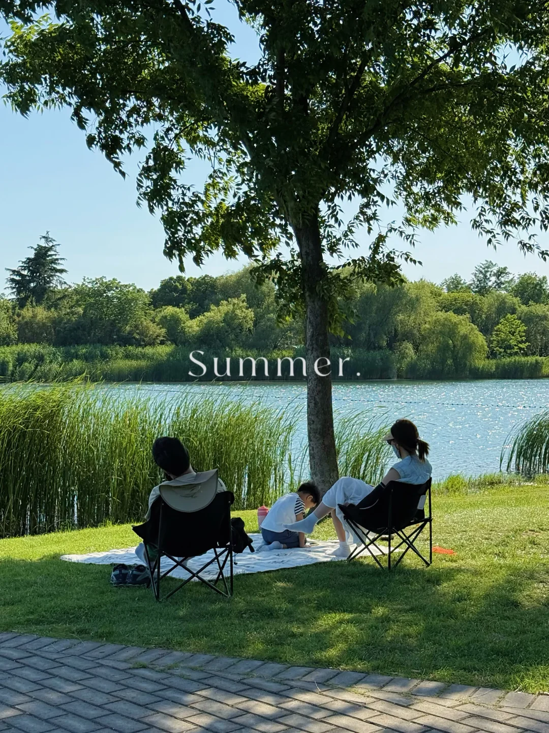 人类迷恋夏天的理由 又多一个