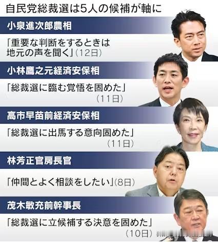 这次日本自民党总裁选，如果只看参选者的本科毕业学校，感觉就像是“三个北大， 一个
