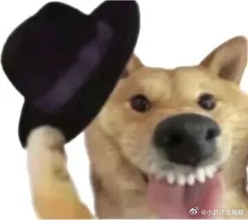 姐妹你老公能不能介绍给我认识认识 