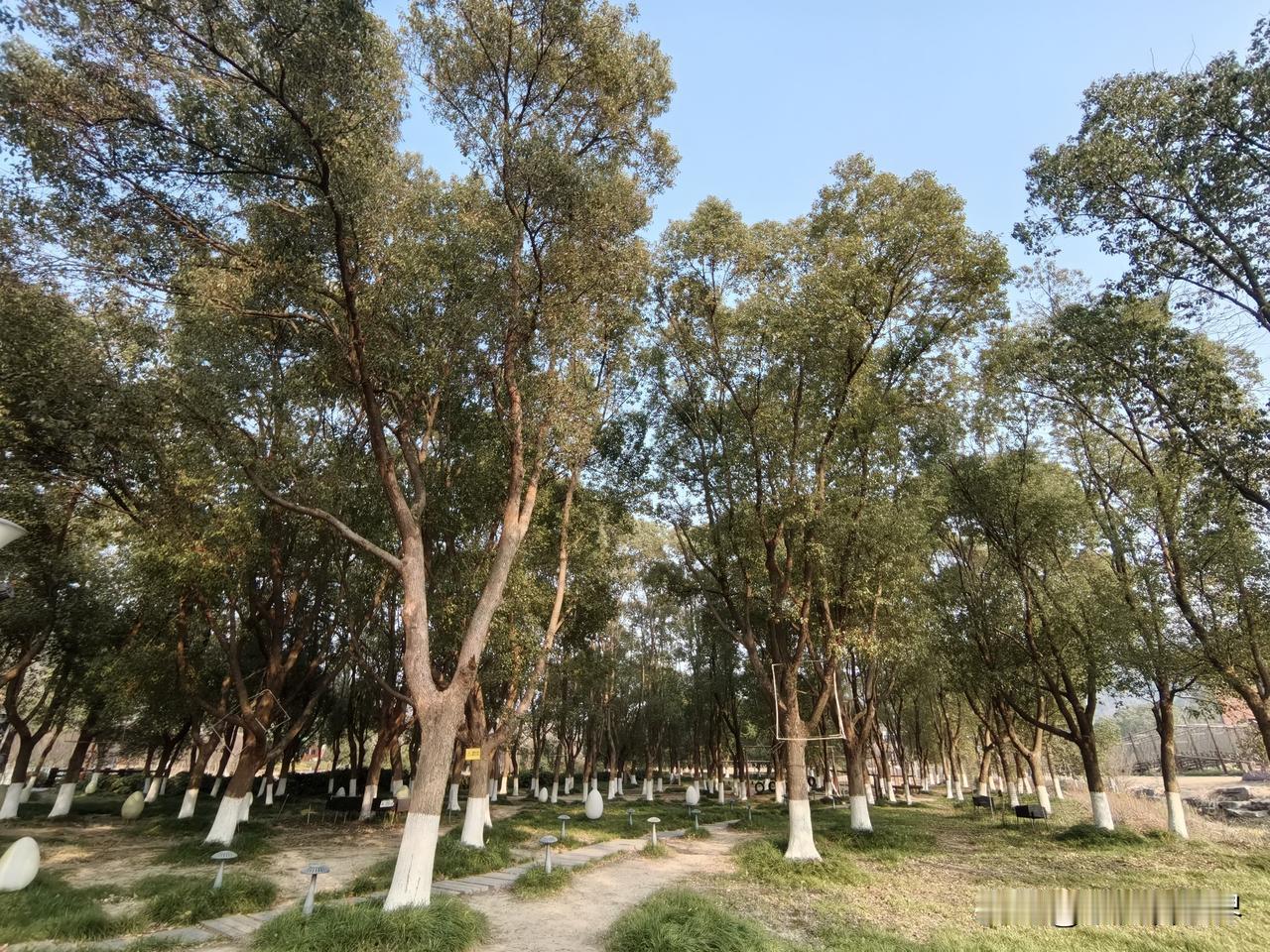 刚到街上，就听到一个噩耗，我们这里一个69岁的妇女，大清早出门，被车撞了，当场殒