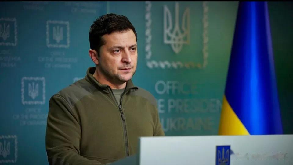 乌克兰可能减少200亿欧元收入。欧盟委员会领导冯德莱恩，博雷利等，推动了一项对乌