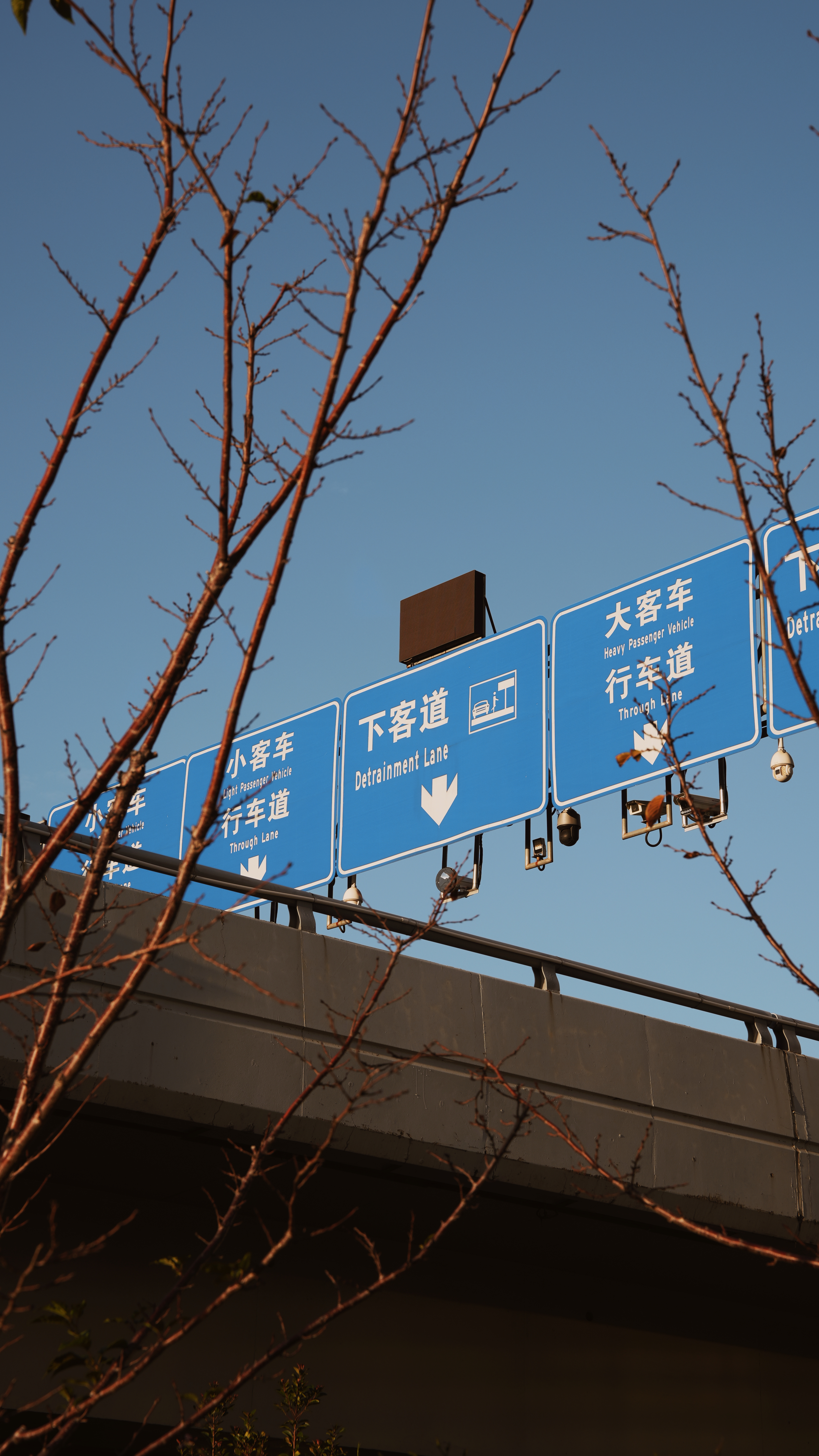 早啊列位，上班没有，走了10分钟到机场，我这是第一次走着去机场……上海今天大太阳