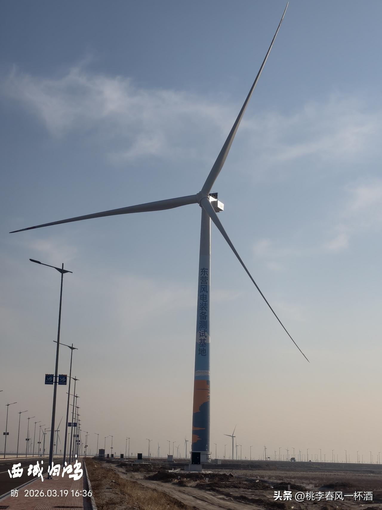 图说东营；广利港东营风电基地随拍。