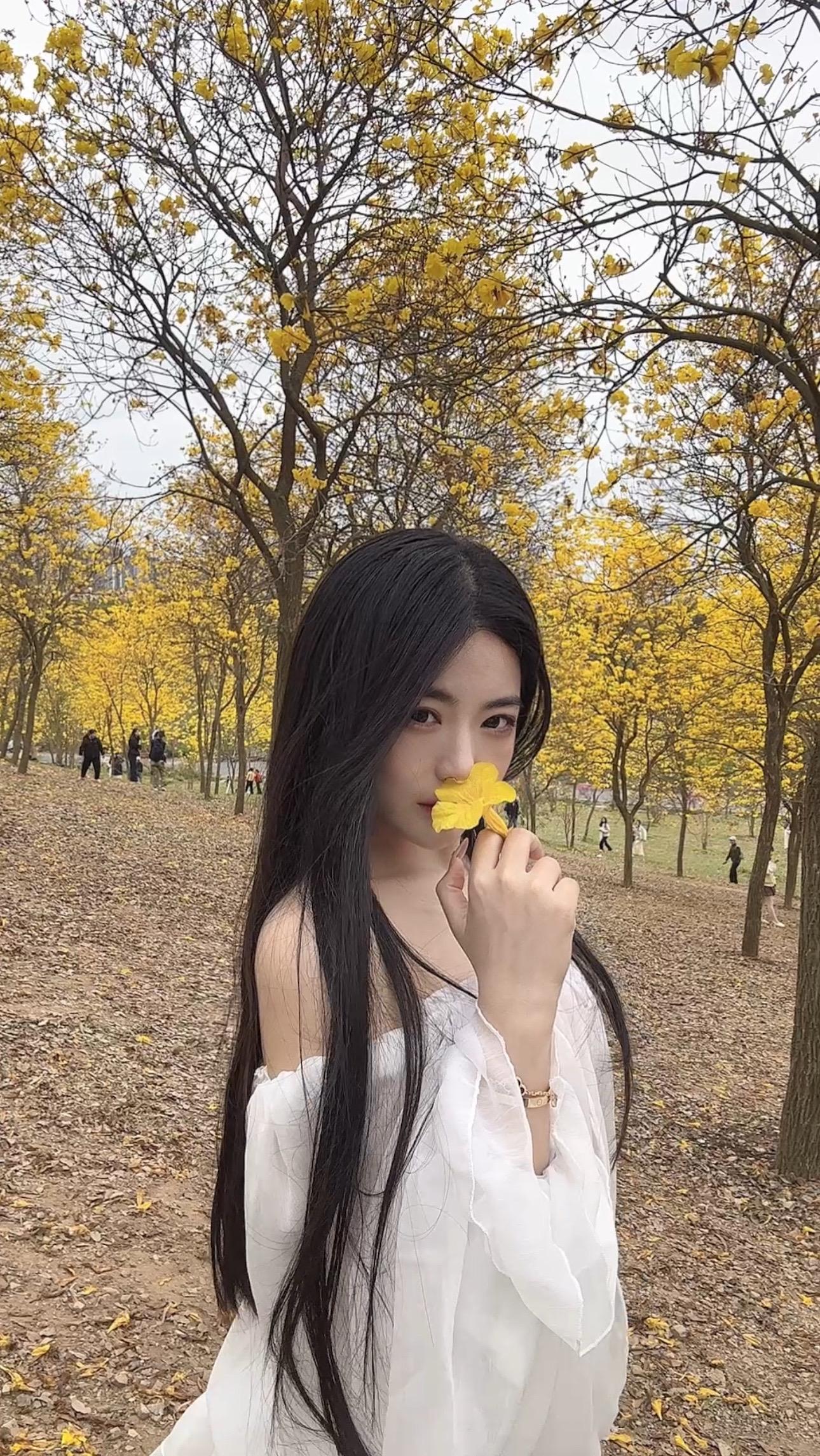 赴春约