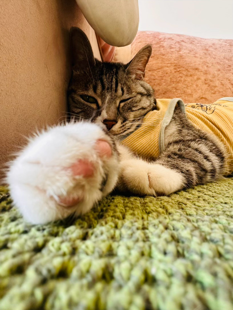 世界有什么可厉害的呢？你怂，世界就厉害，你厉害，世界就怂。 