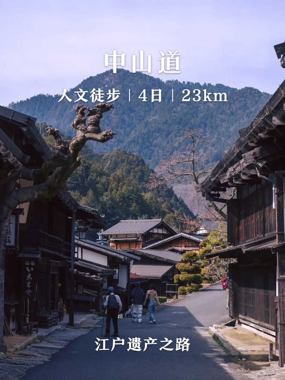 中山道赏樱旅行，小白友好的入门徒步线路