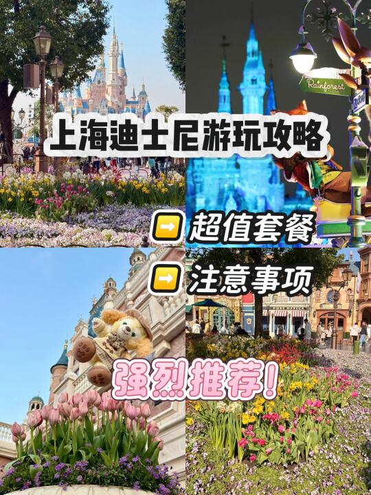 来迪士尼一定不要错过这篇攻略！！！