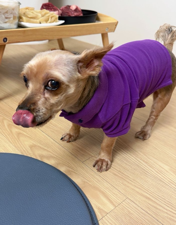 崔叡娜 近期🫧 