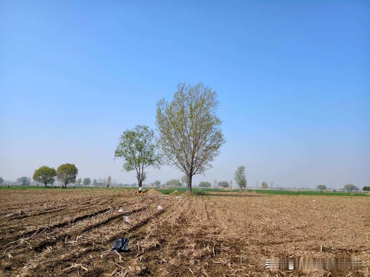 哪有人会面对一堆黄土忍着不流泪，哪有人会面对一堆黄土充满思念！
除非，黄土里躺着