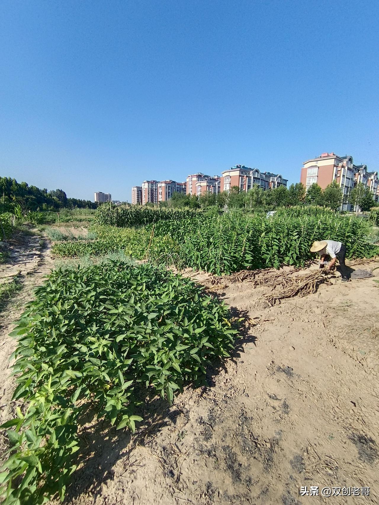说那时人们穷就是抹黑那个时代，道那时日子苦就是丑化那段历史。称那个年代有些事做错