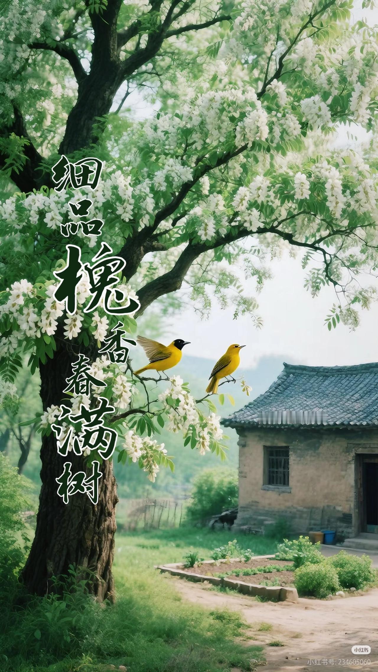 上联：
细品槐香春满树，
下联：？