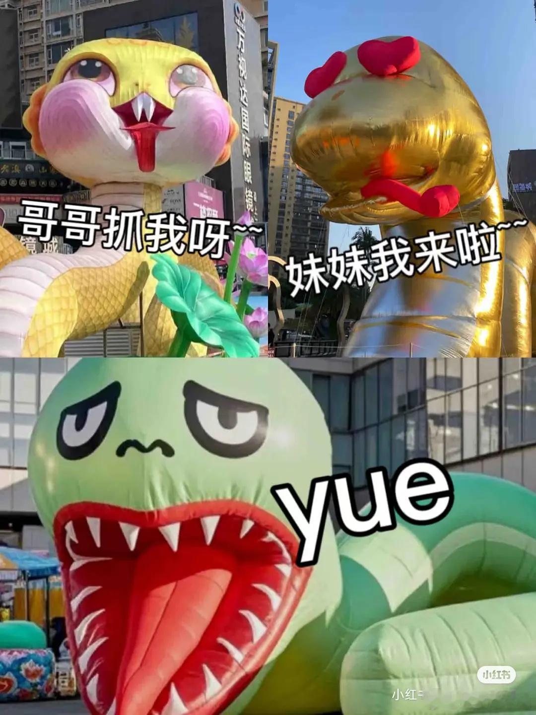 分享全国各地的丑🐍 