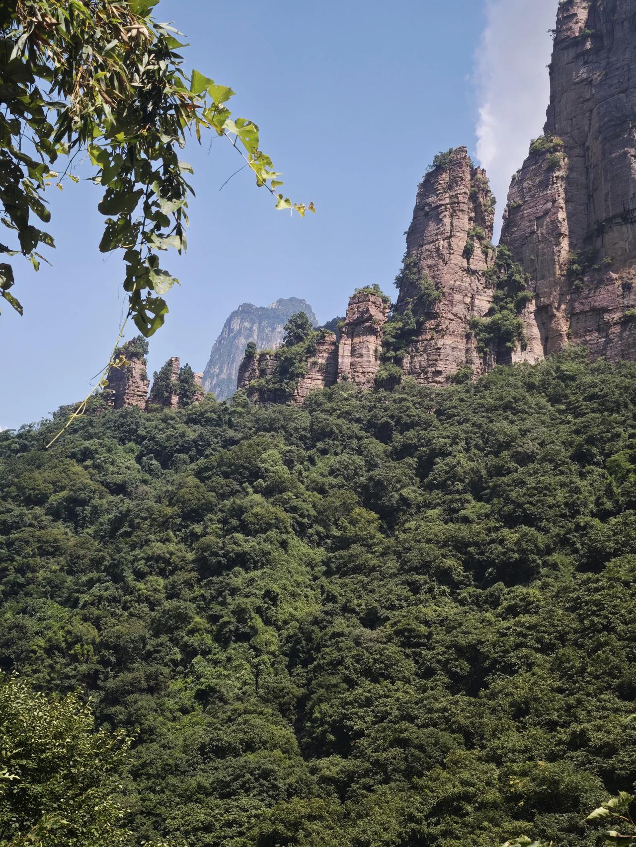 八里沟行吟
文/夏

太行迎客石榴悬，青涩垂枝尚未丹。
偷趁无人留影急，秋海棠开