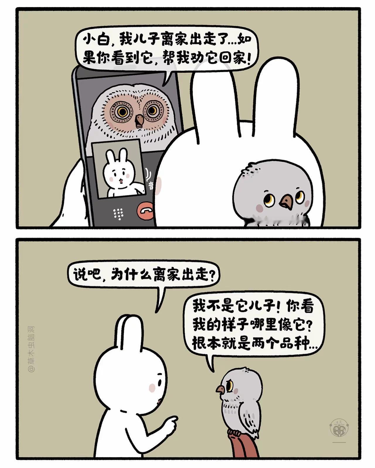 猫头鹰与剃须刀。嫦娥打工兔 第九一六集