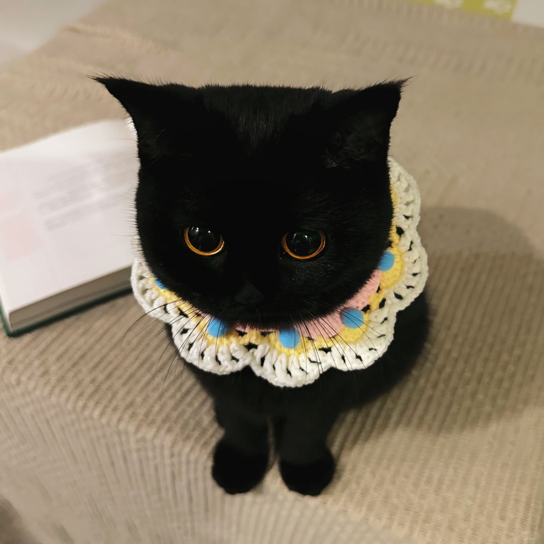 宝宝你是一朵小花