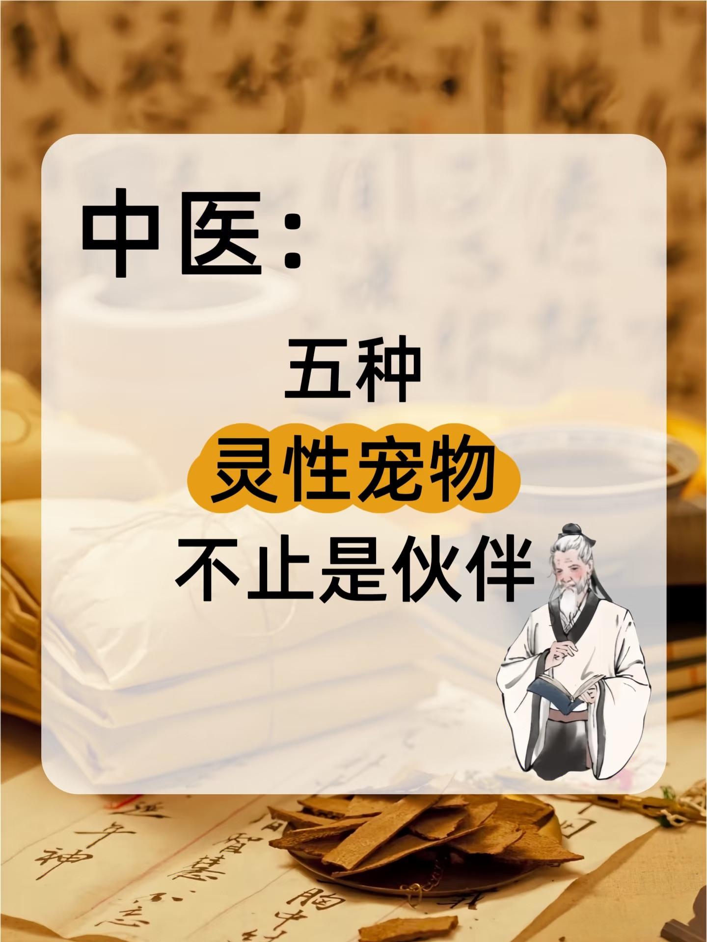 看看你适合哪种灵性宠物。