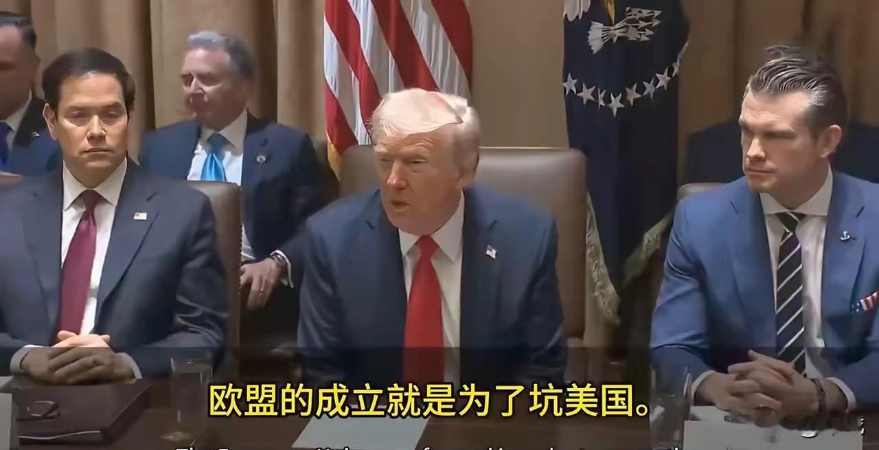 特朗普:欧盟成立的目的就是为了坑美国，坦白说他们坑得不错，但现在我是总统了。记者