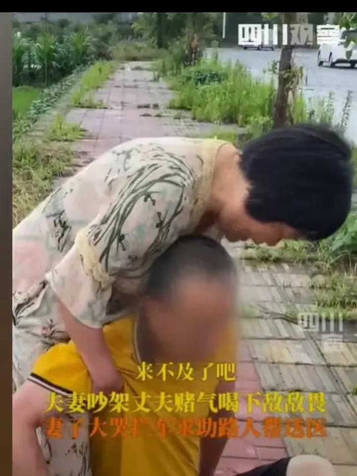 四川观察7月3日报道，欧女士远远瞧见一对夫妻在路边争吵，两人你一言我一语，吵着吵