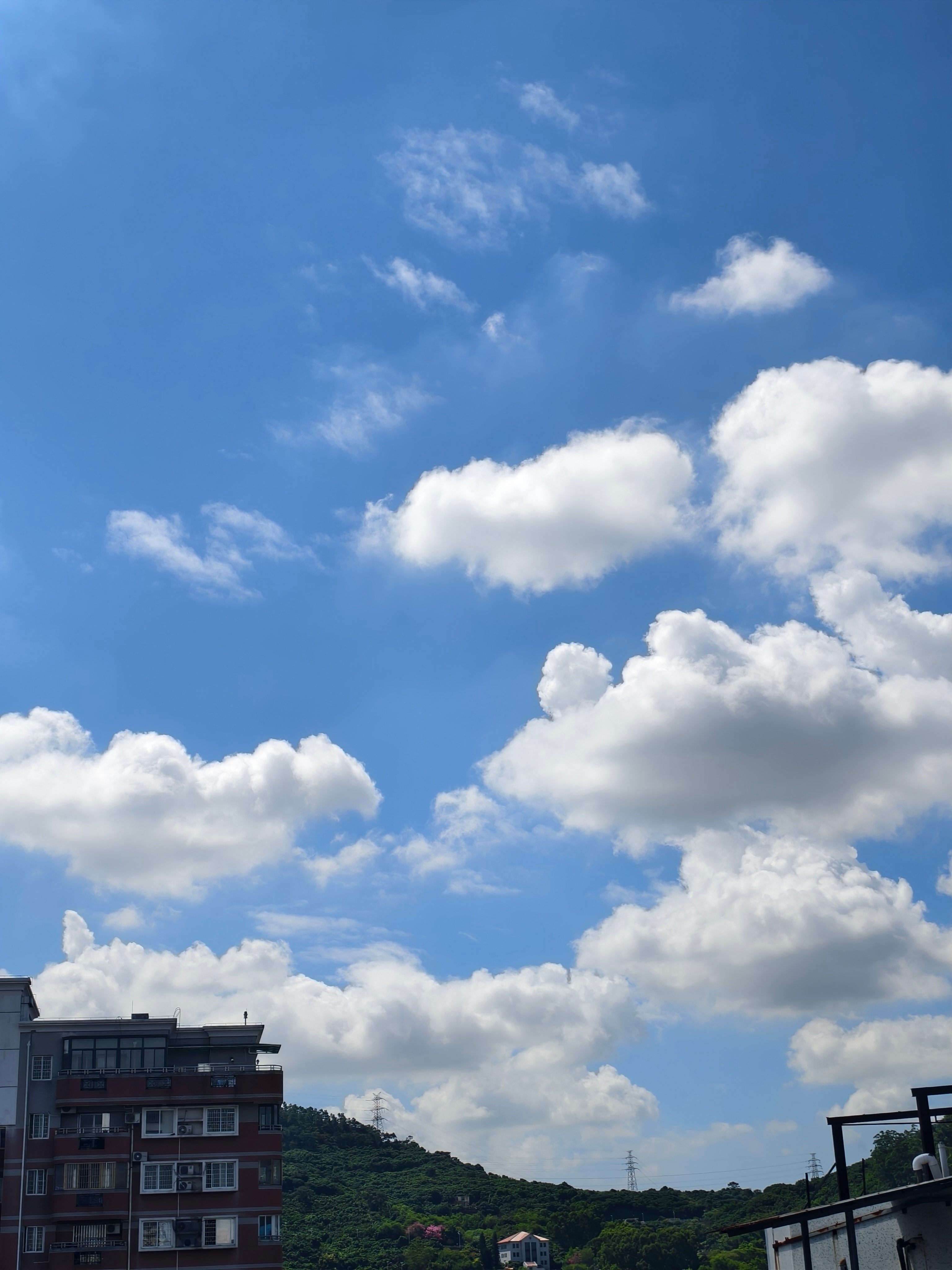 #国庆假期倒数第2天#早，今天你准备干嘛 ​​​