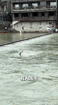 上人民日报了！凤凰古城，女游客意外落水，不会游泳在江中拼命挣扎，岸边围观群众大喊