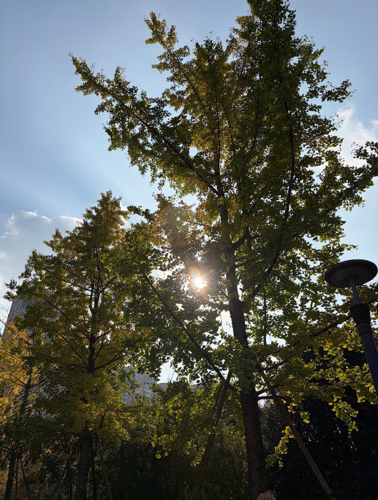 成都人的大洗之日成都成都天气