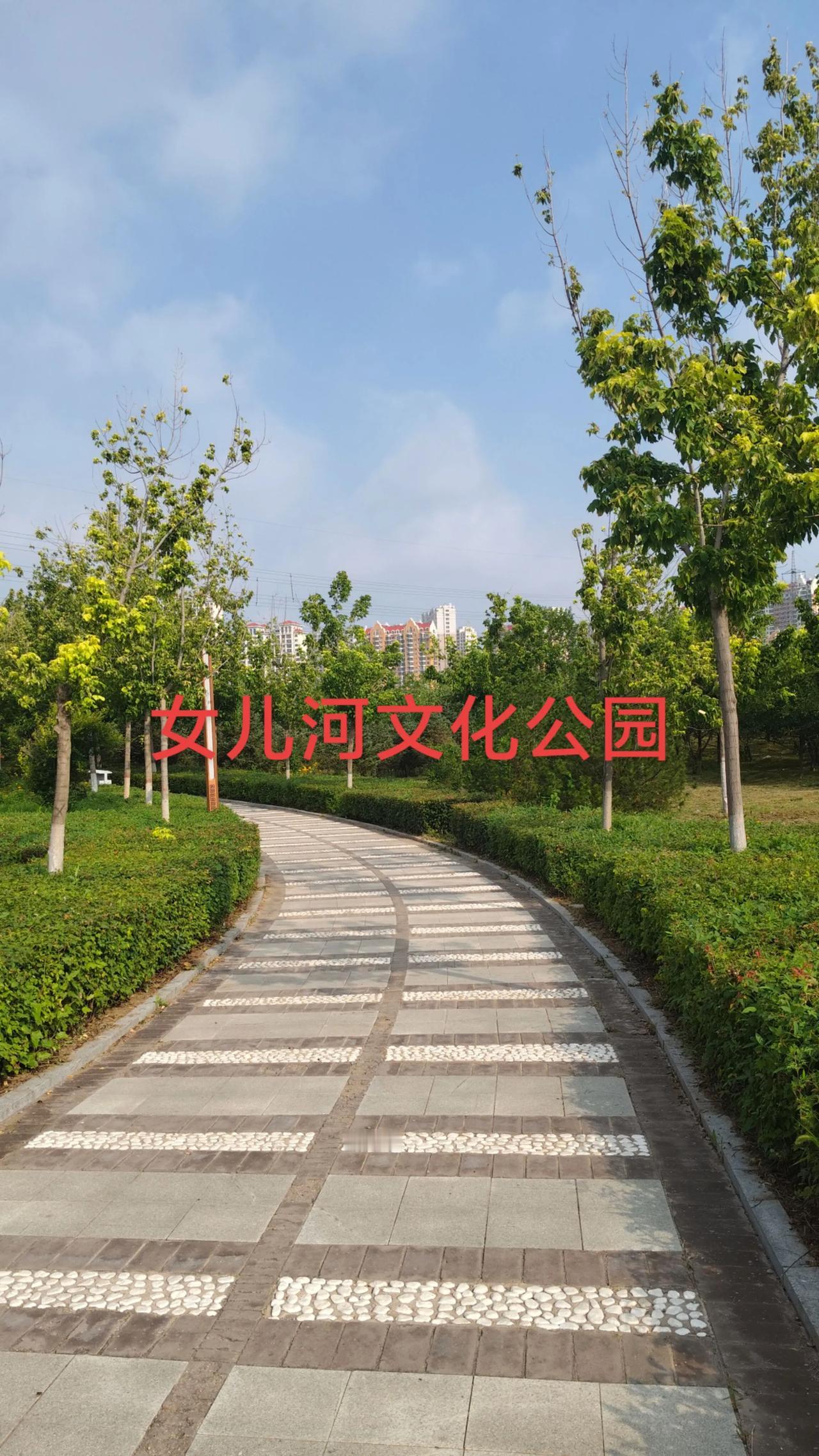 晒出你们那今日天气今天是2025年8月12初秋的早晨，我们锦州天气蓝天白云晴空万