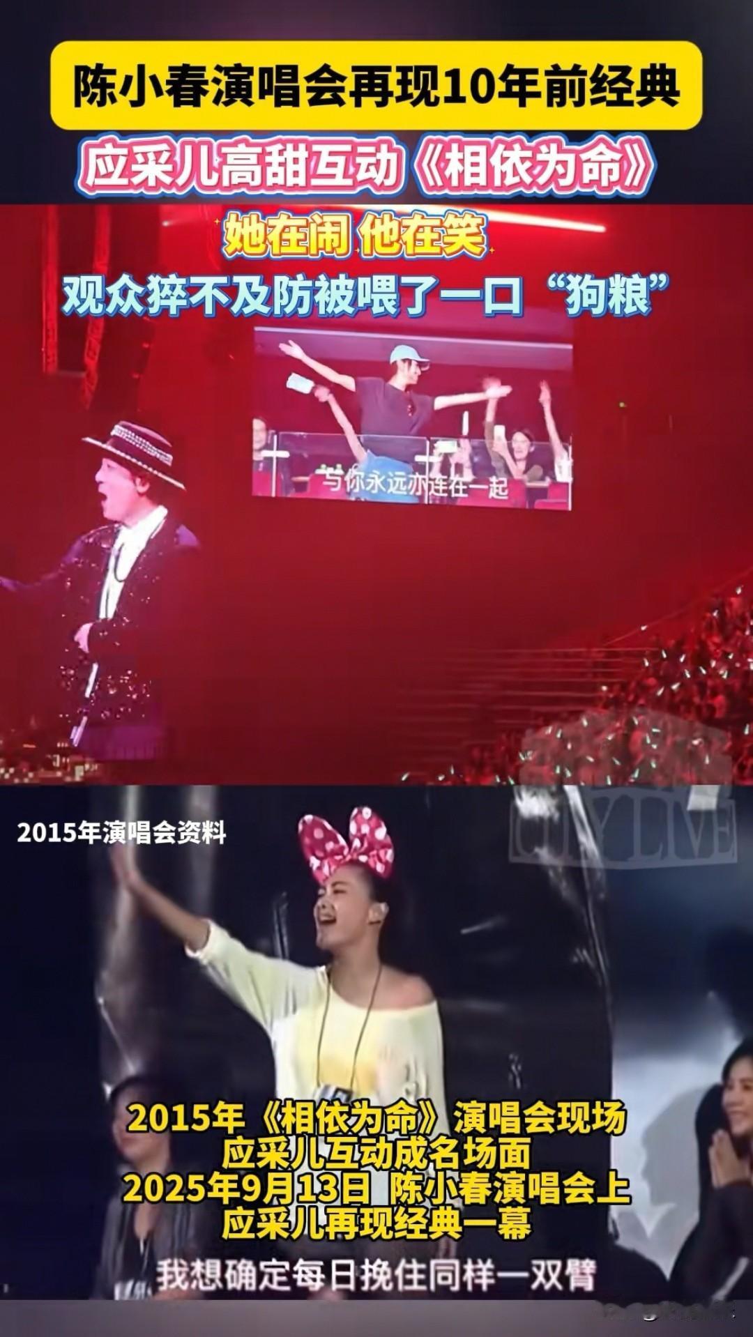没想到十年过去了，应采儿和陈小春又在演唱会上互动了，看到观众席上的应采儿像个孩子