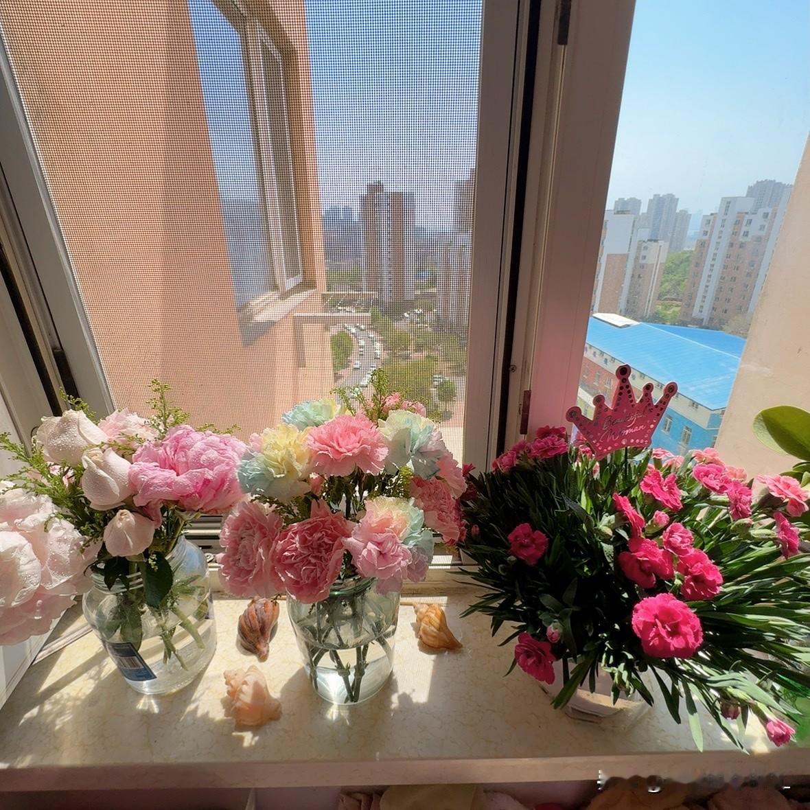 今天不晒钱，不晒饭，也不晒后背。
今天我要晒花了。

昨天母亲节，女儿给我买了一