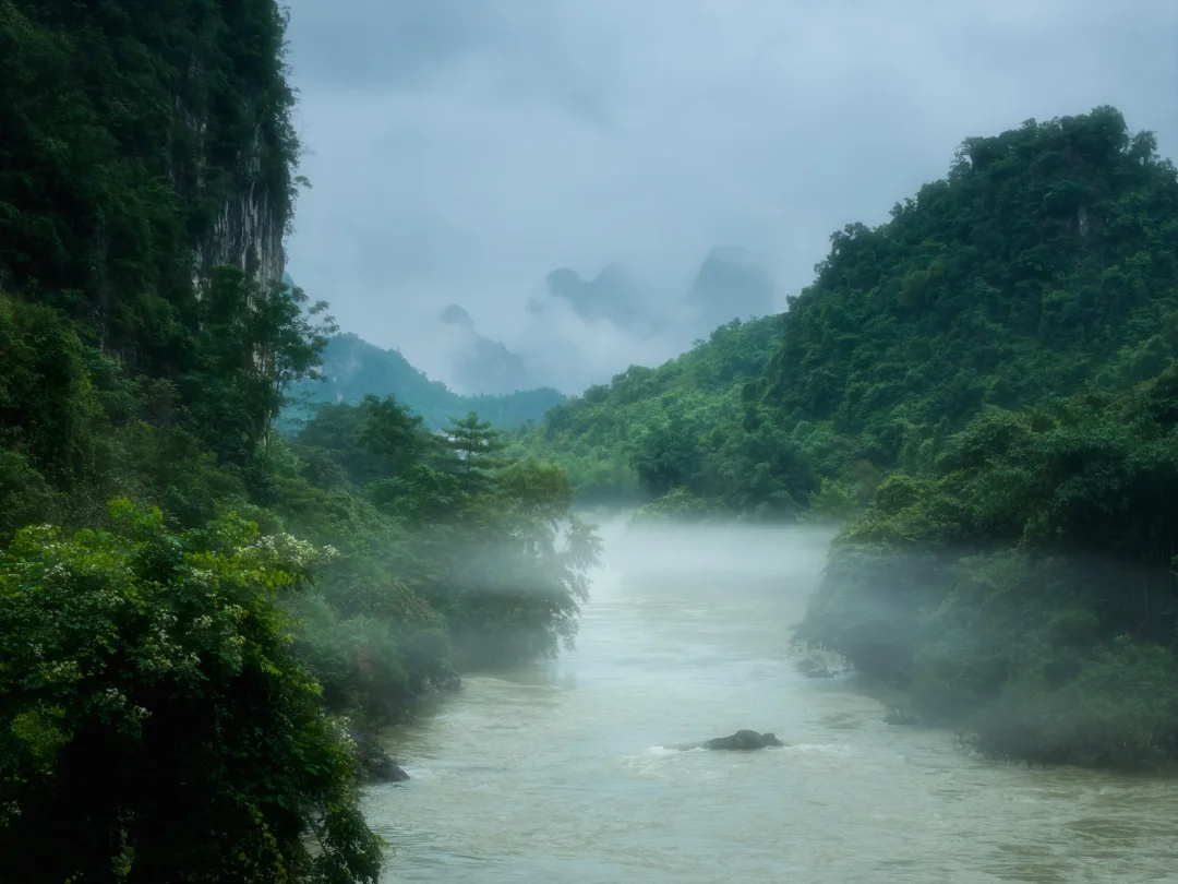 巴马-这里就是深山老林里的河流🍃🍃🍃