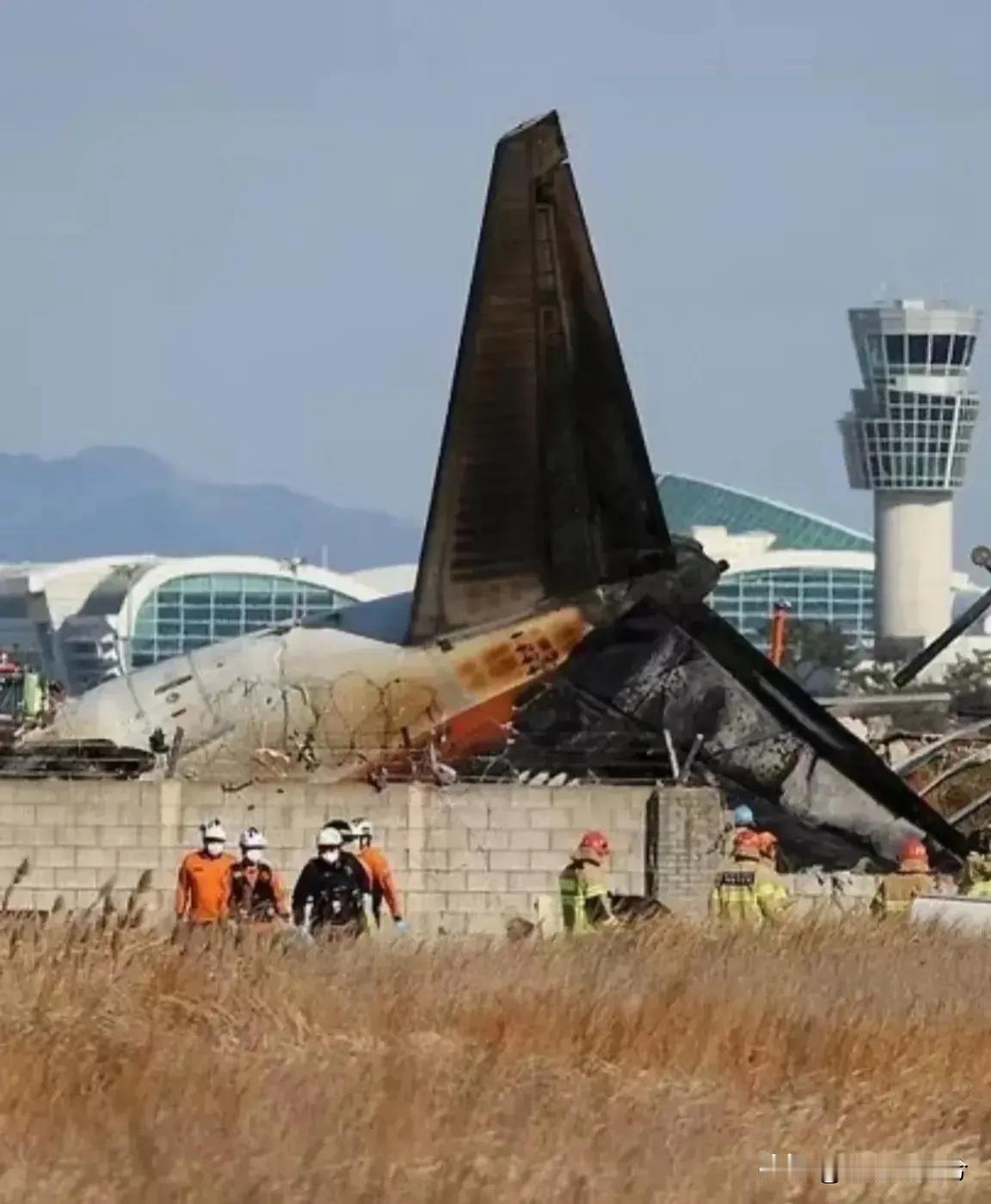 还没到一天韩国赔偿方案“唰”地就出来了。

五家保险公司一合计，那出手叫一个大方