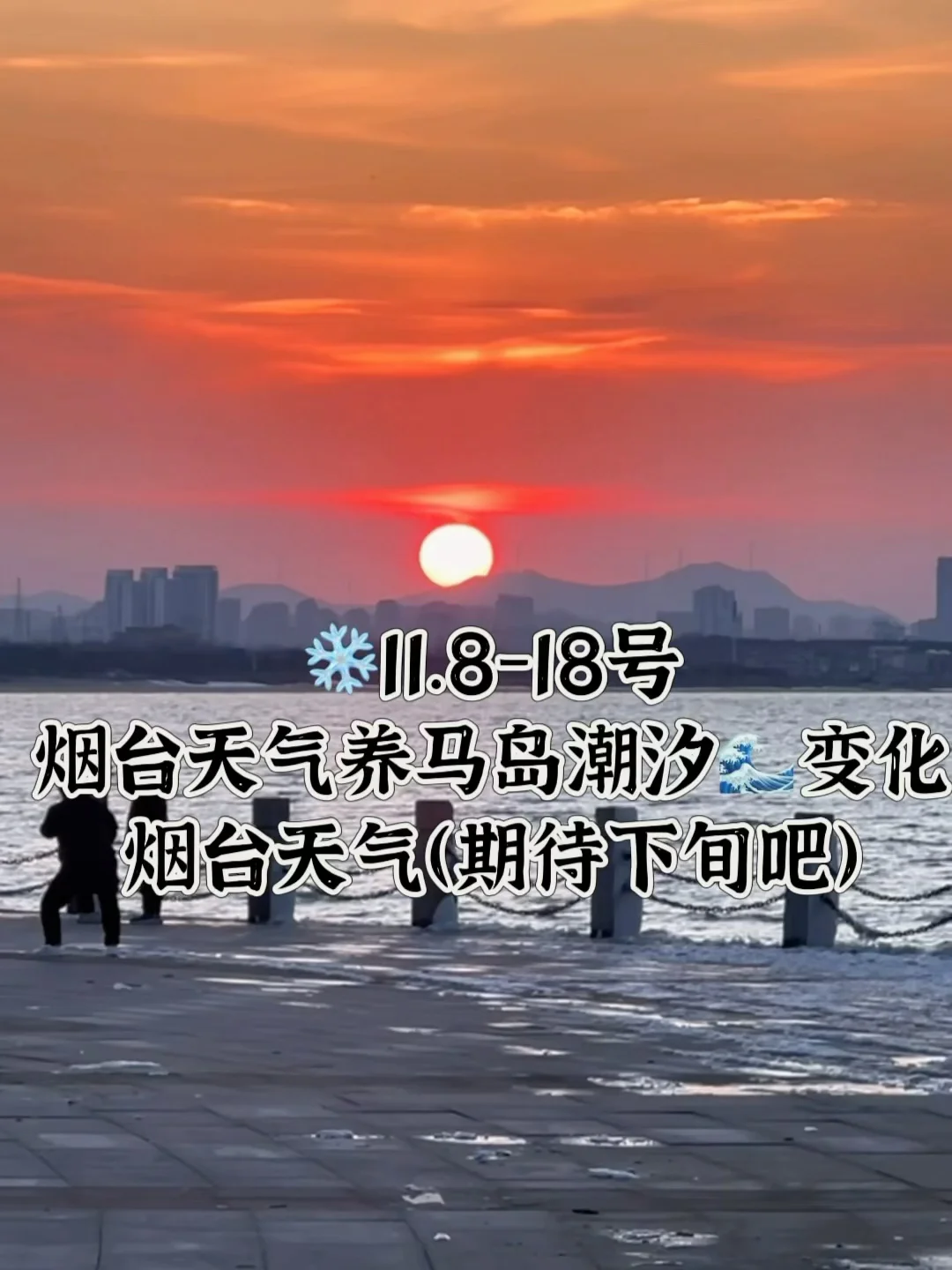 📍11.8-18号烟台养马岛潮汐及天气变化