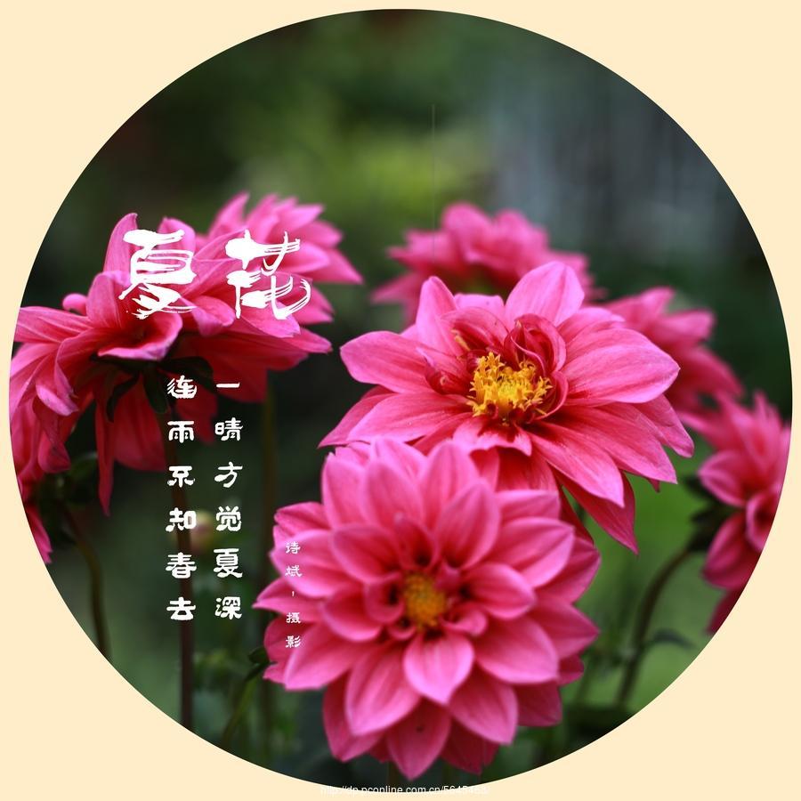 周三晚间传来重磅消息，周四沪指能否向上突破MA5成为关键！
周三晚间的重磅消息如