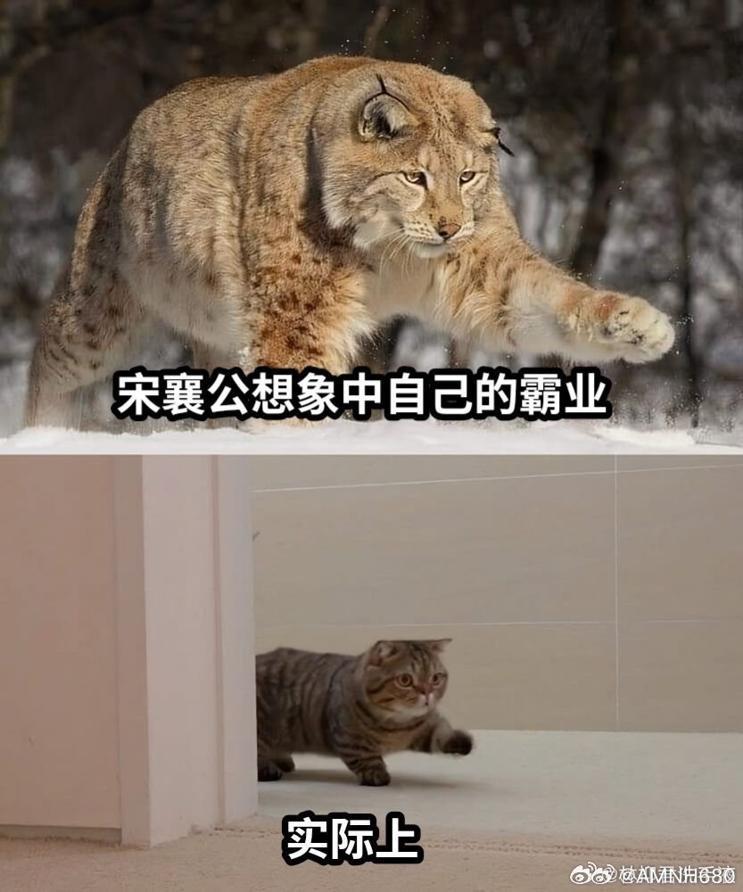 来自投稿的东周列国志meme从第一张图就开始爆笑 