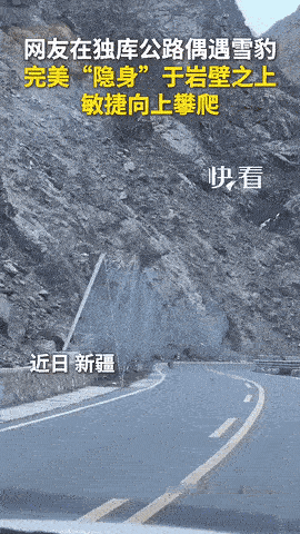 “上新华社了!” 新疆，一对男女驾车行驶在独库公路上，副驾女子不经意抬头看了一眼