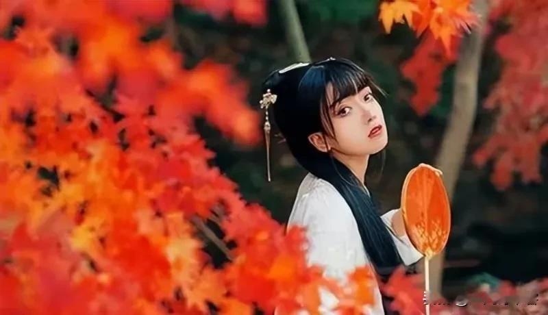 #凡间诗话#  七律|踏秋
红叶萧萧秋色深，晚来苦雨浥枫林。
别枝零落花空泪，去