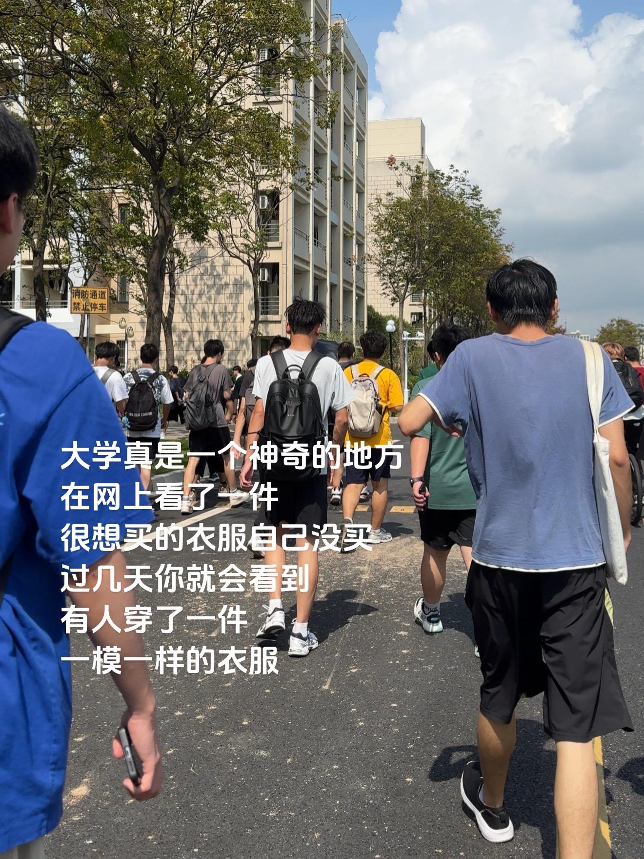 大学真是个神奇的地方