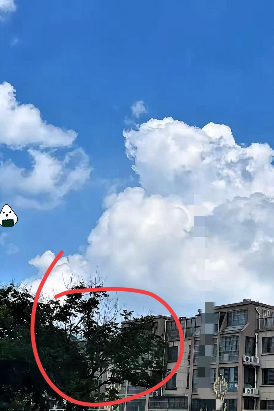 说真的，父母这辈子的“面子”，好多时候都拴在孩子身上。哪怕自己再普通，孩子有出息