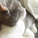 贞旺热玩美食
