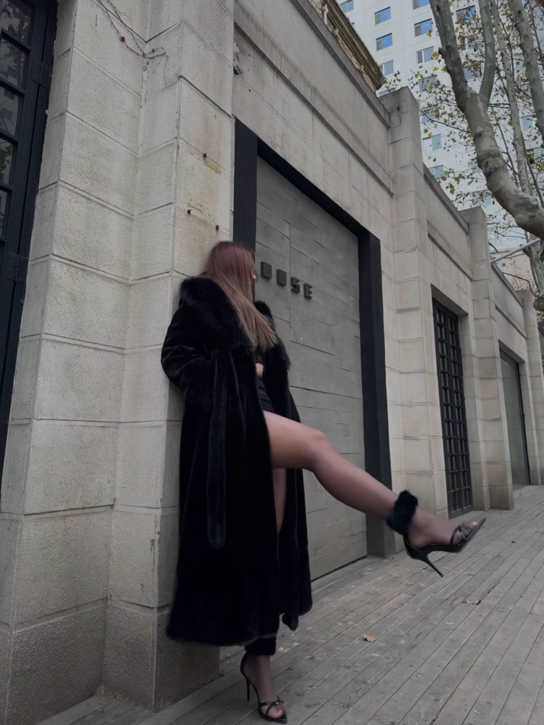 every dog has his day 西安·陕西省图书馆