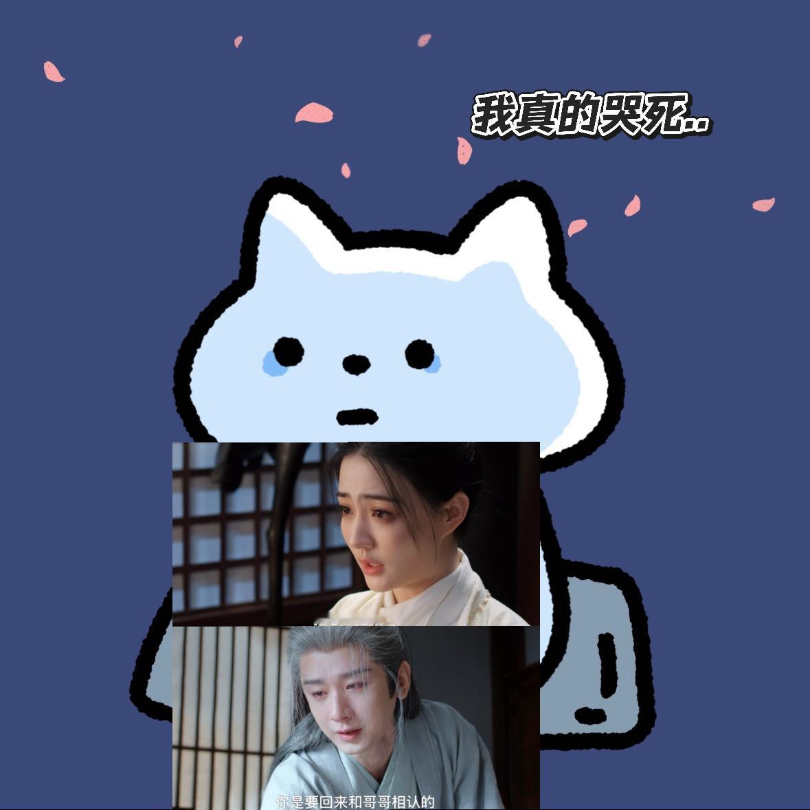 兄妹失散十五年至死没相认长安二十四计认亲帖没送出去，兄妹没相认，谢淮安埋葬妹妹时