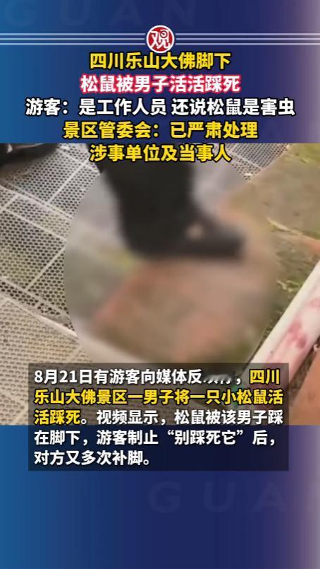 “太令人气愤！”四川乐山大佛景区，一名保安当众踩踏一只野生松鼠，游客看到后连忙劝