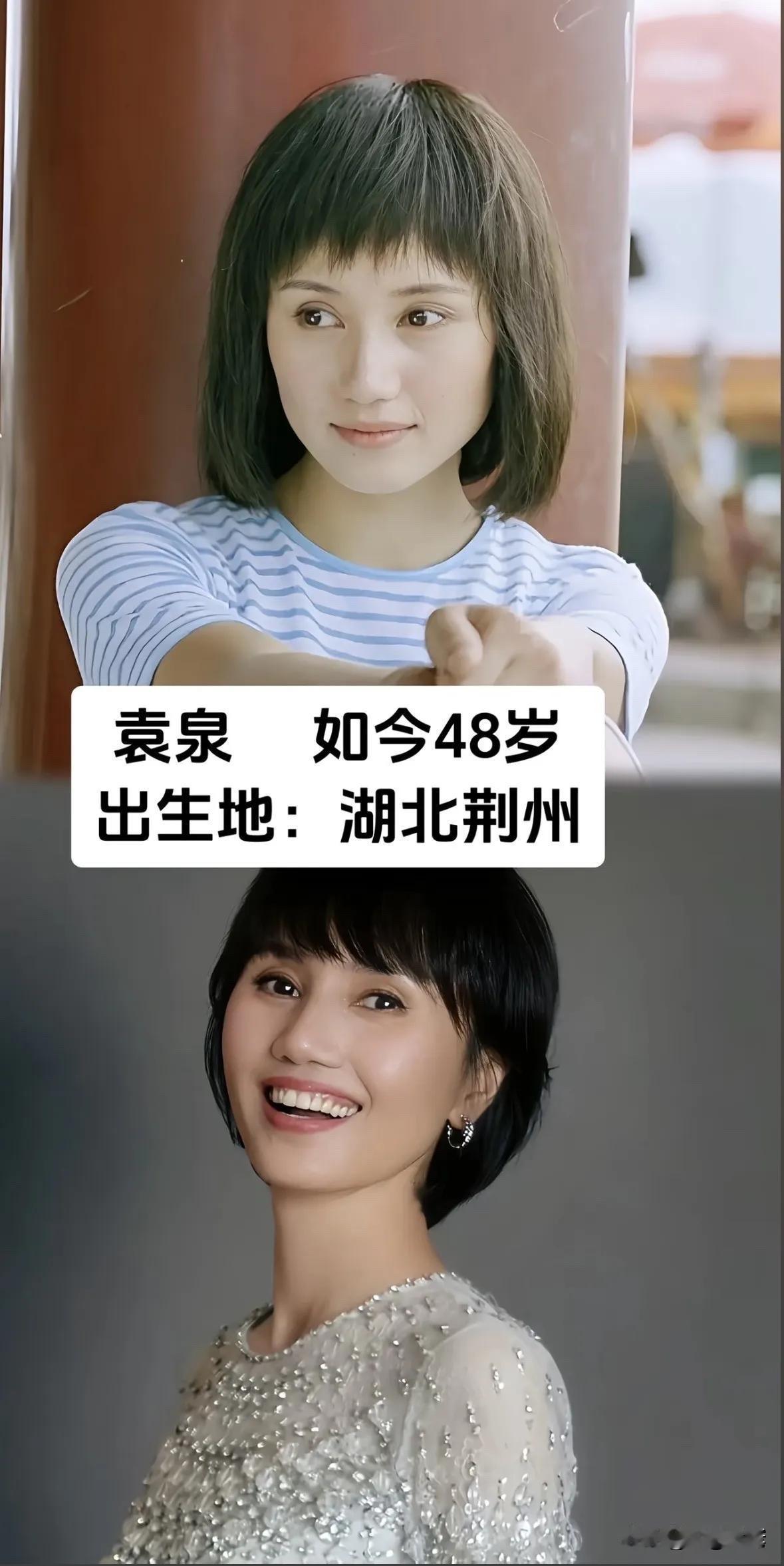 回过头来看看这七位女演员，她们出生于陕西、山东、湖北、上海、江西、江苏等天南地北