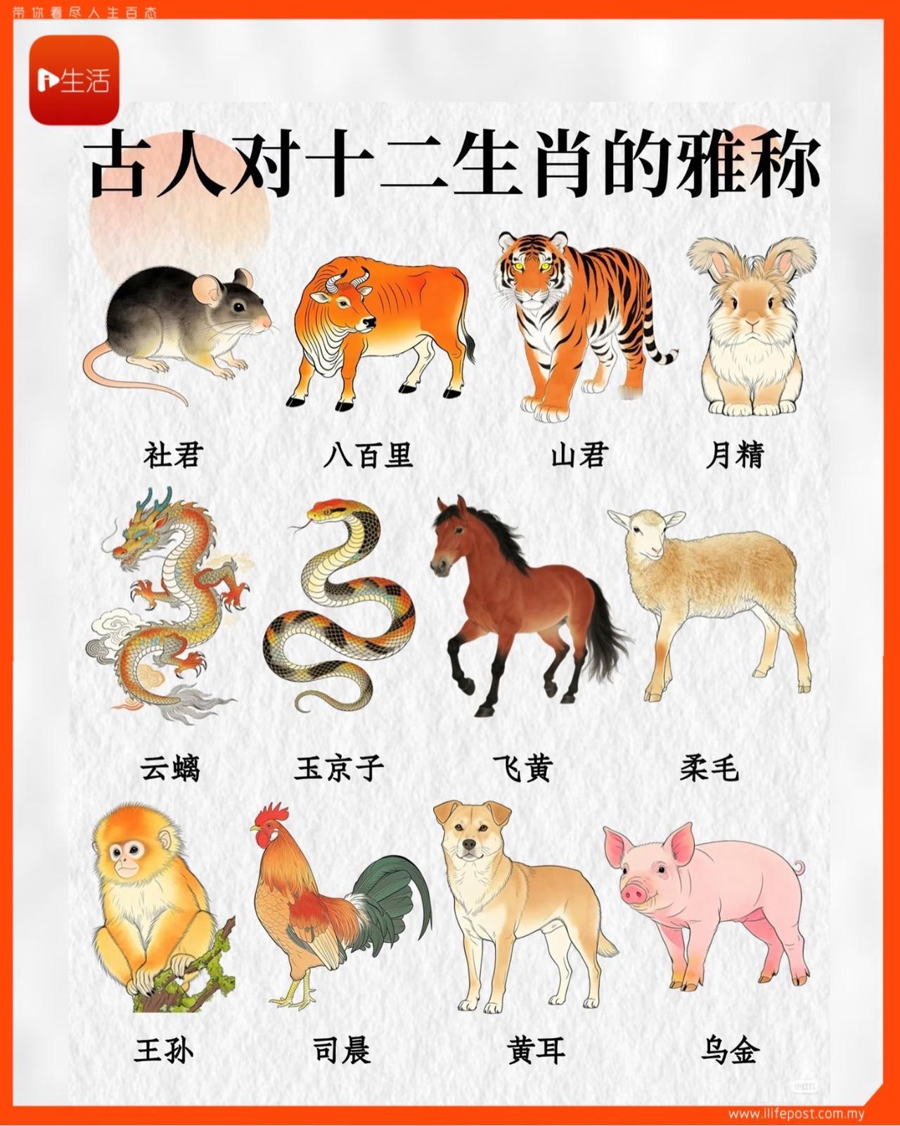 古人给十二生肖取的雅称，大多不是随便起的，而是来自神话传说、古书典故或动物特征。
