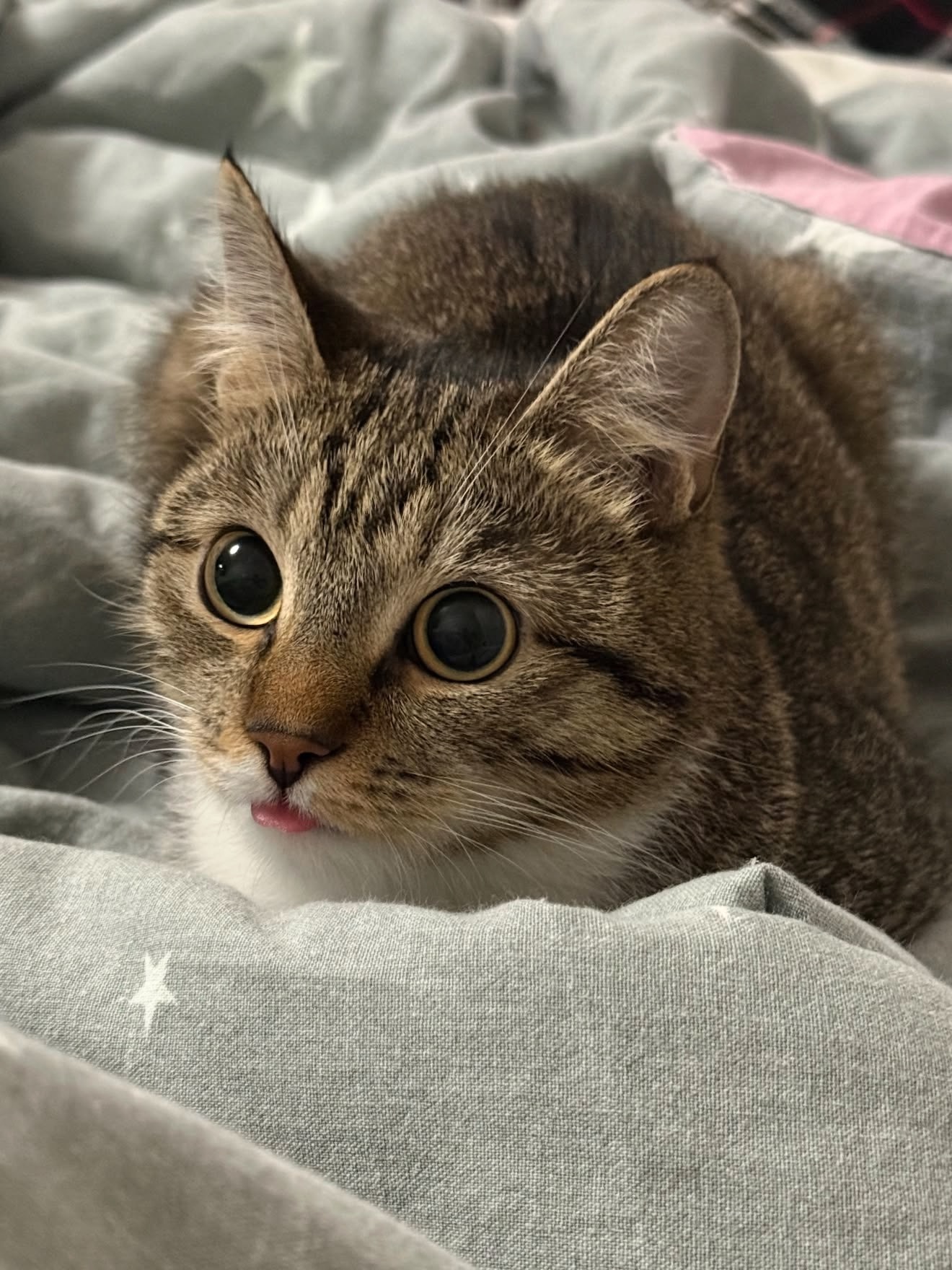 👁️👅👁️ 