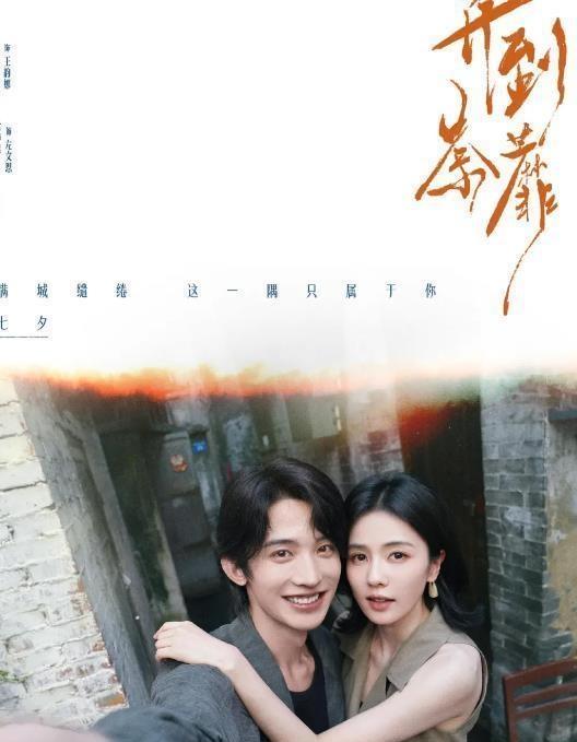 白鹿又一新剧开到荼靡即将来袭，全员都是实力派演员，阵容强大爆款预定 ​​​